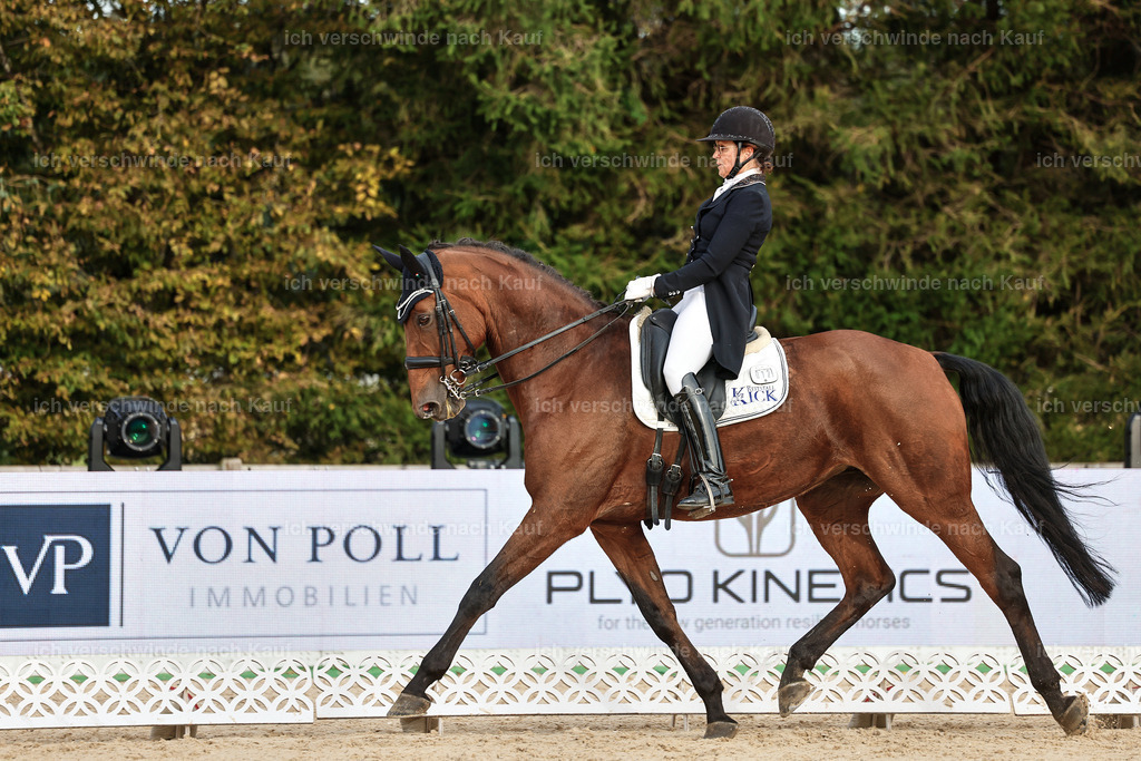 13-072-S___ -StoibPH-6999 | working equitationturnier fotograf videograf stoibphotography marixx film working equitation deutschland reitsport turnierfotografie eventfotografie equestrian events