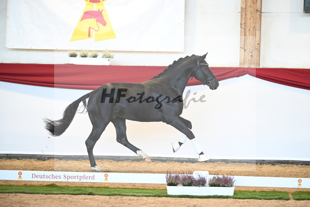 Kat-Nr. 39 Iron x Fuerst Romancier_Gerdes_47240980 | hf-fotografie - Realizzato con Pictrs.com