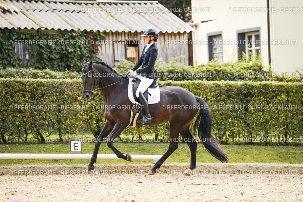 DSC00903 | Pferdegrafie