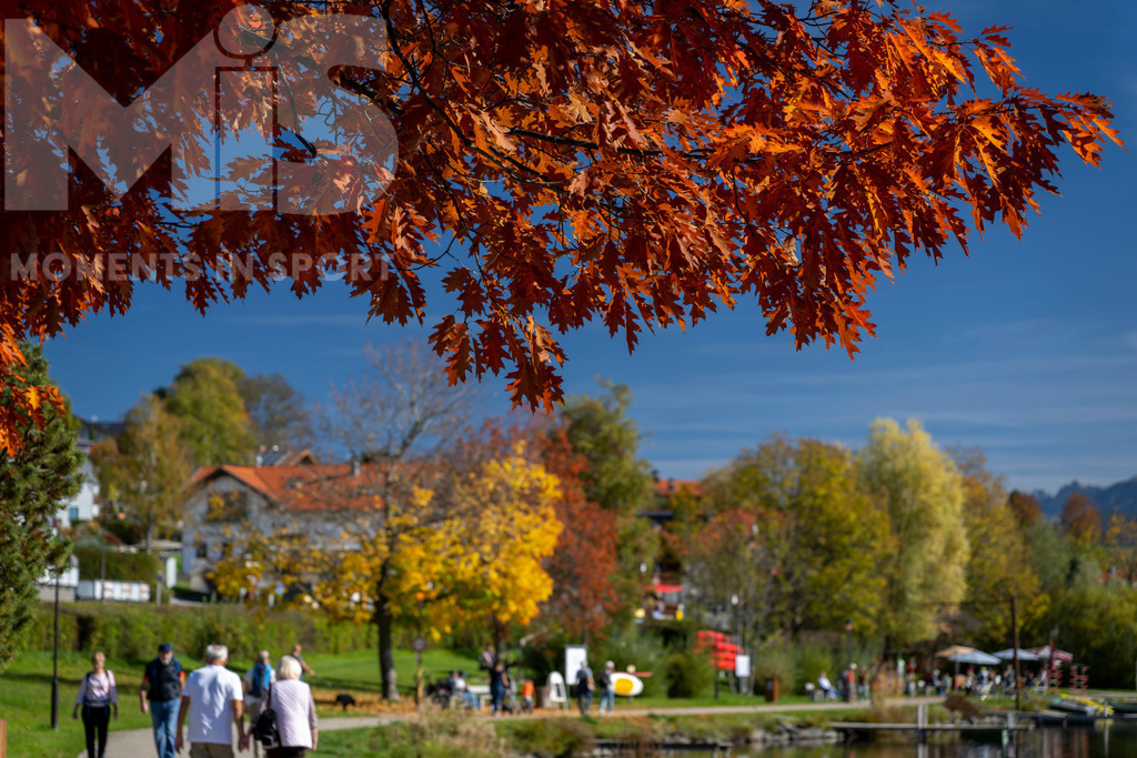 2.Liga-1860-HEIM.jpg | 17.10.2022, Herbst am Hopfensee im Allgäu (Bayern) bei Füssen. Bei sommerlichen Temperaturen geniessen viele Ausflügler die herbstliche Landschaft am See mit bunt gefärbtem Herbstlaub. Hier die Promenade in Hopfen am See. - Realisiert mit Pictrs.com