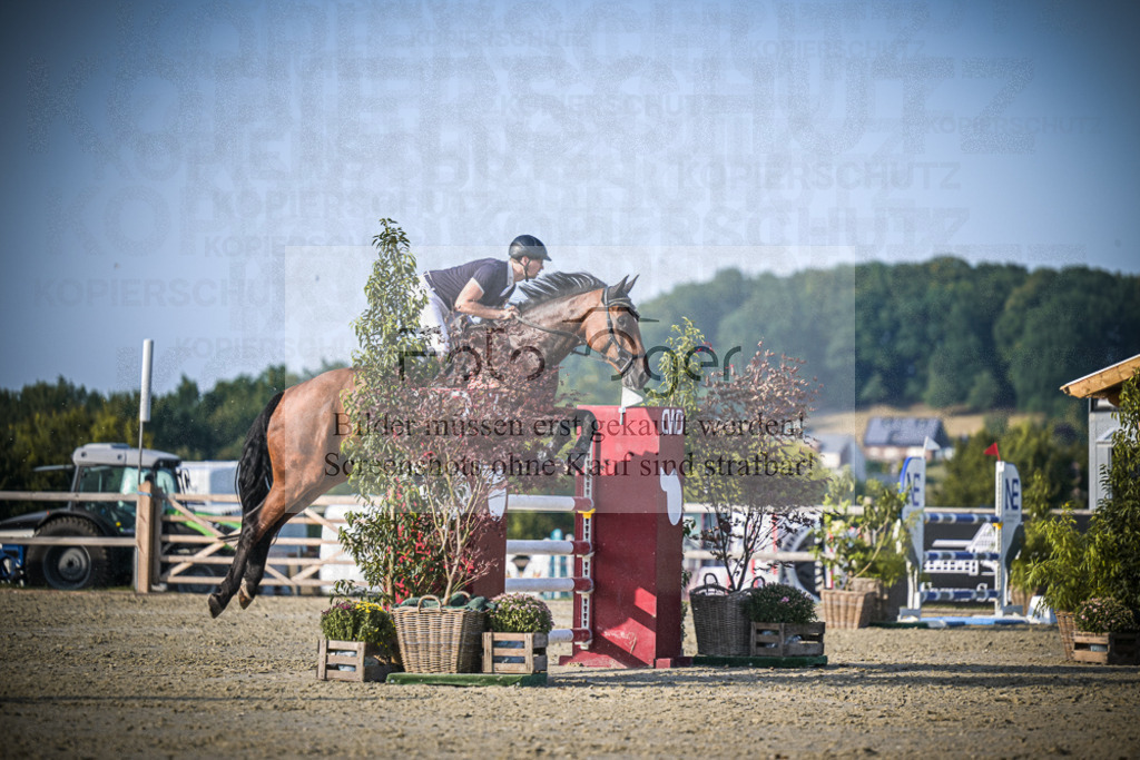 DOS_1512 | Entdecke hochwertige Reitturnierfotos von Foto Oger. Professionell, emotional und authentisch – jetzt Lieblingsmomente im Shop bestellen.Deutschlandweite Turnierfotografie. - Realisiert mit Pictrs.com