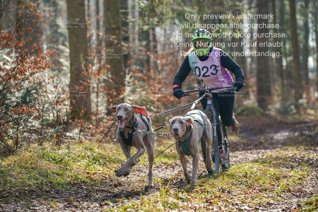 So_Scooter_2-65 | stephaniefillaphotographie - Realisiert mit Pictrs.com