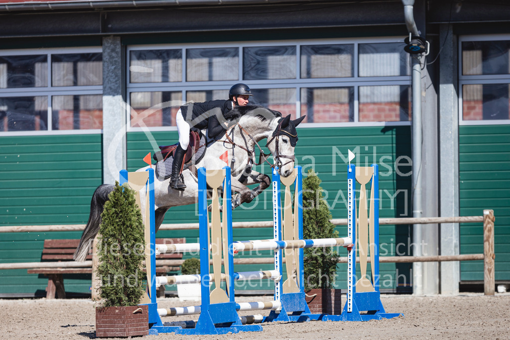 250408_Mühlen_SprPf-A2-323 | Deine schönsten Turniermomente als professionelle Fotos! Entdecke hochwertige Pferdesport-Fotografie im Online-Shop. Jetzt Fotos finden & bestellen!