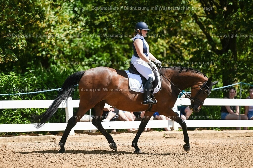 20230715_02_Dressurreiterprüfung Kl.L_0001 | equistock
