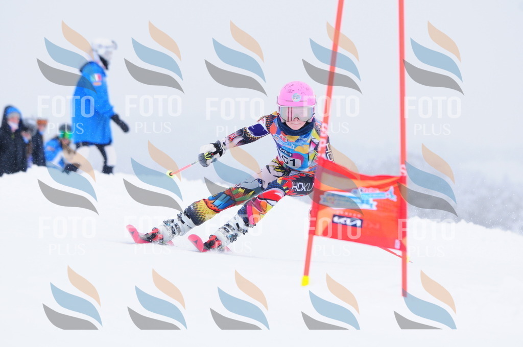 C3749 | holidayphoto