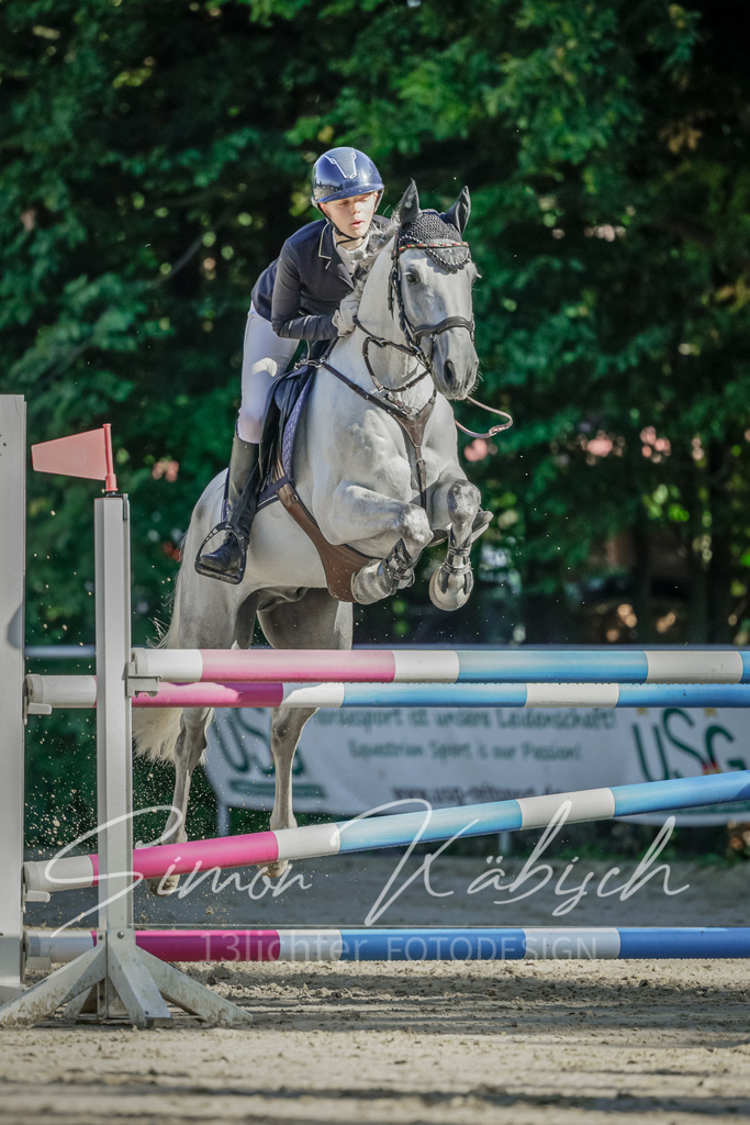 20250906-_3LI3277 | Tierfotografie Pferde, Hunde, Katzen, Haustiere.
Turnierfotografie Reitturniere, Reiten, Springreiten, Dressur in Hanau, dem Main-Kinzig-Kreis und dem Rhein-Main- Gebiet um Frankfurt