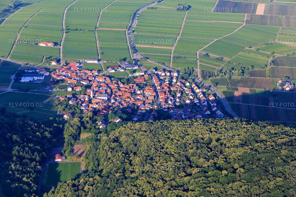Luftbild: Dorfübersicht am Haardtrand aus Westen in Eschbach im Bundesland Rheinland-Pfalz in Deutschland. Foto: IMG_082651.jpg vom 25.06.2015 durch Werner Riehm/FLY-FOTO.de