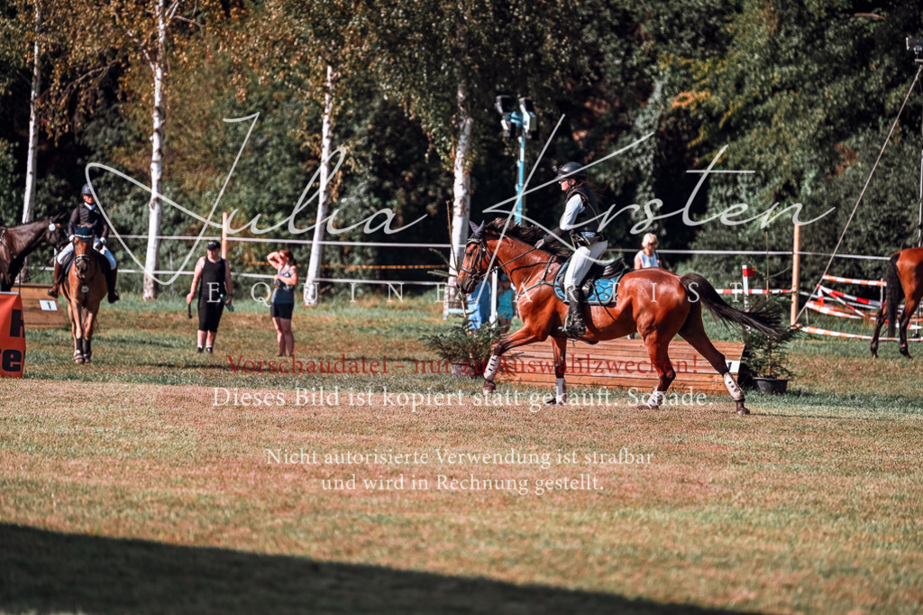 DSC_0720 | Pferde- und Turnierfotografie in Westsachsen. Pferdeportraits, Auftragszeichnungen und intuitive Kunst.