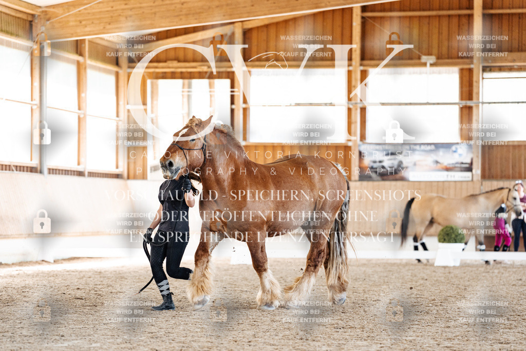 CK907246 | Turnierfotografie Pferdefotografie Trier Rheinland-Pfalz Pferdesport Reitsport Tierfotografie Sportfotografie Pferdevideo Pferdevideografie Equestrianvideography equestrianphotography  - Realisiert mit Pictrs.com