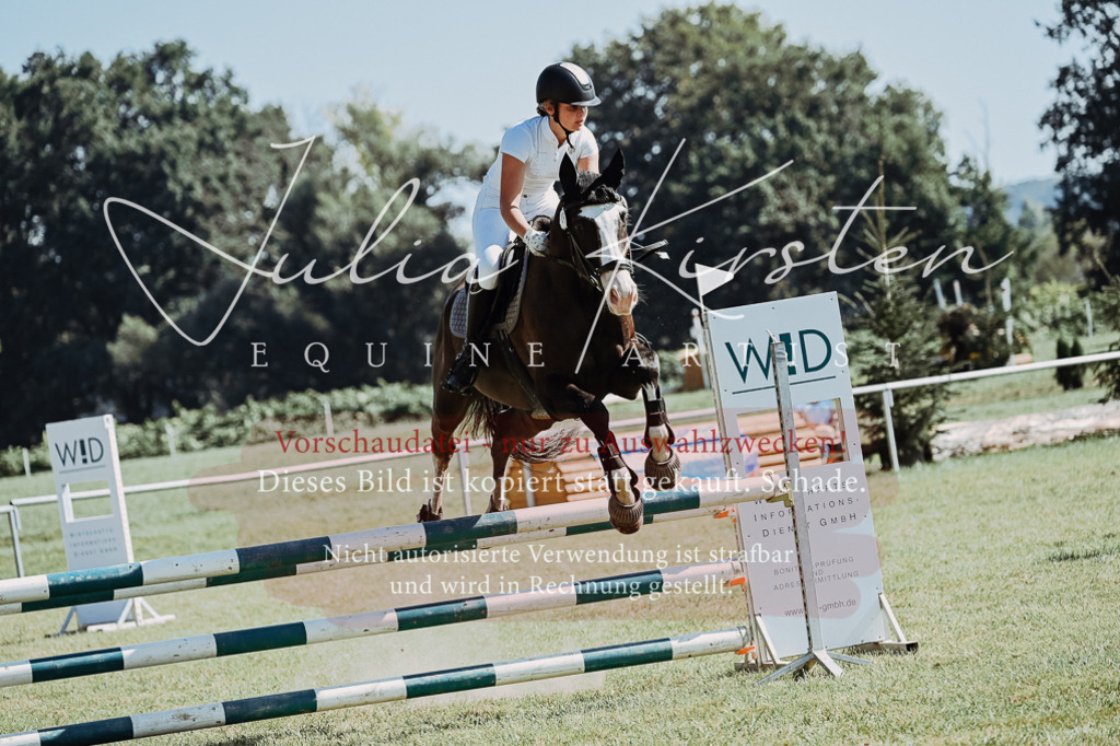 DSC_5886 | Pferde- und Turnierfotografie in Westsachsen. Pferdeportraits, Auftragszeichnungen und intuitive Kunst.