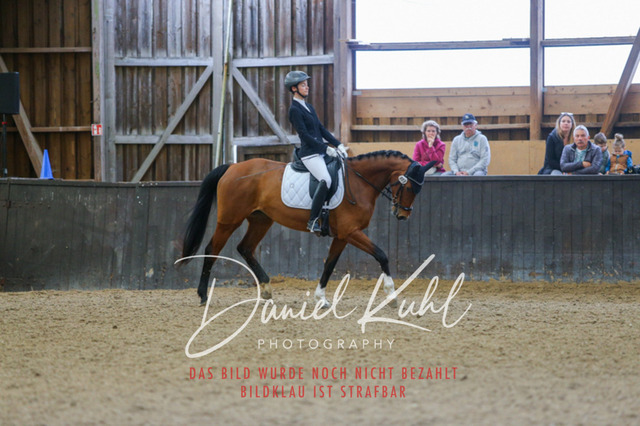IMG_0507 | Turniersportfotografie; Pferdefotografie; Dressurfotografie