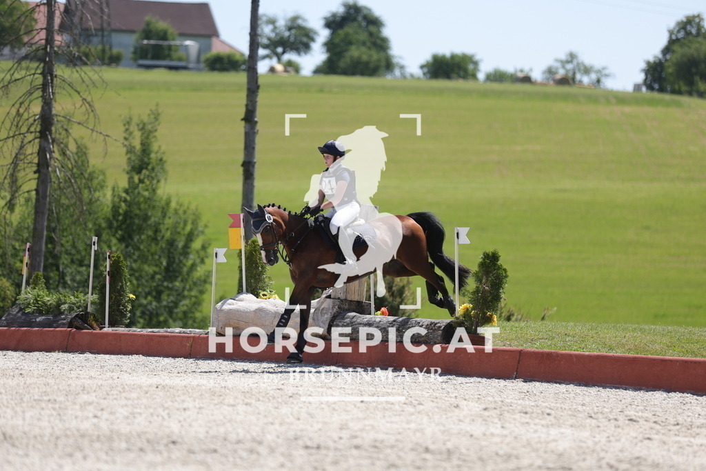 0P6A3515 | Willkommen bei Brunnmayr - Design & Fotografie – Ihrem Spezialisten für Reitturniere und Pferdeveranstaltungen in Oberösterreich, Salzburg und Bayern! Seit über 17 Jahren sind wir leidenschaftlich dabei.