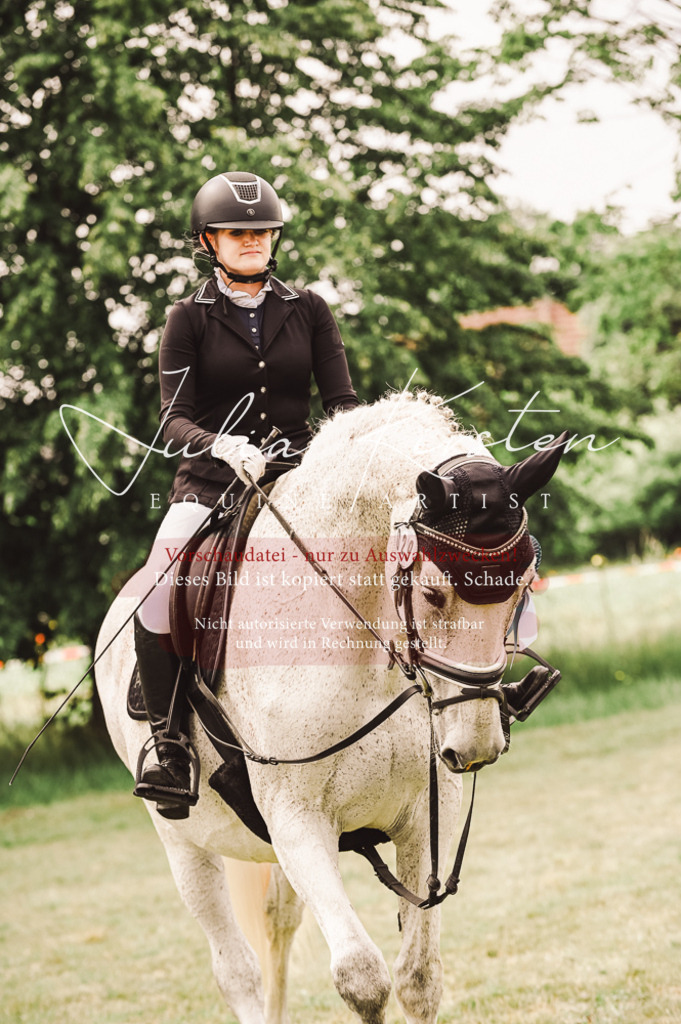 DSC_5196 | Pferde- und Turnierfotografie in Westsachsen. Pferdeportraits, Auftragszeichnungen und intuitive Kunst.