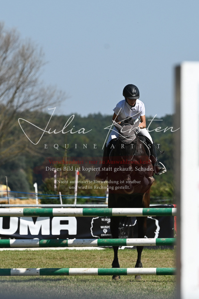 DSC_6371 | Pferde- und Turnierfotografie in Westsachsen. Pferdeportraits, Auftragszeichnungen und intuitive Kunst.