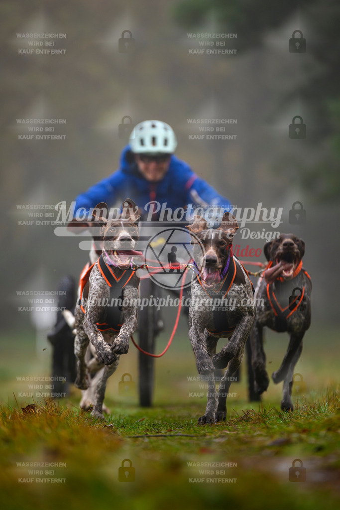 MompixPhotography_Bischwiller2025_Kart-12 | mompixphotography