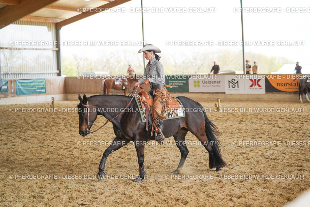 DSC02188 | Pferdegrafie