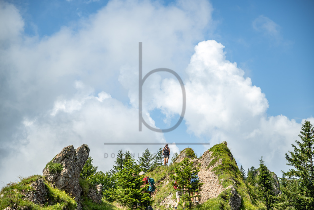 35. Gebirgsmarathon | 35. Gebirgsmarathon 2024 am 03.08.2024 in Immenstadt. Einer der anspruchsvollsten​und ältesten Bergläufe​Deutschlands im Naturpark Nagelfluhkette!(Foto: Dominik Berchtold/www.dberchtold.com)Instagram: @d_berchtold_foto 