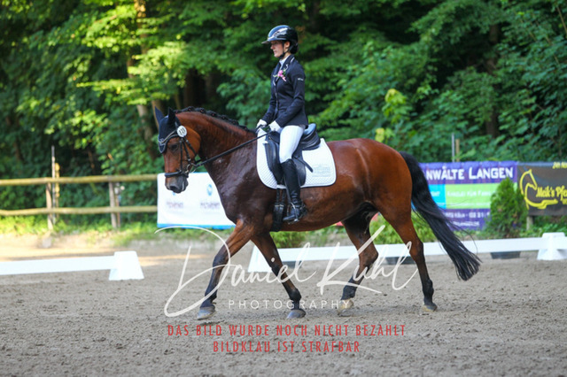 DKP43070 | Turniersportfotografie; Pferdefotografie; Dressurfotografie