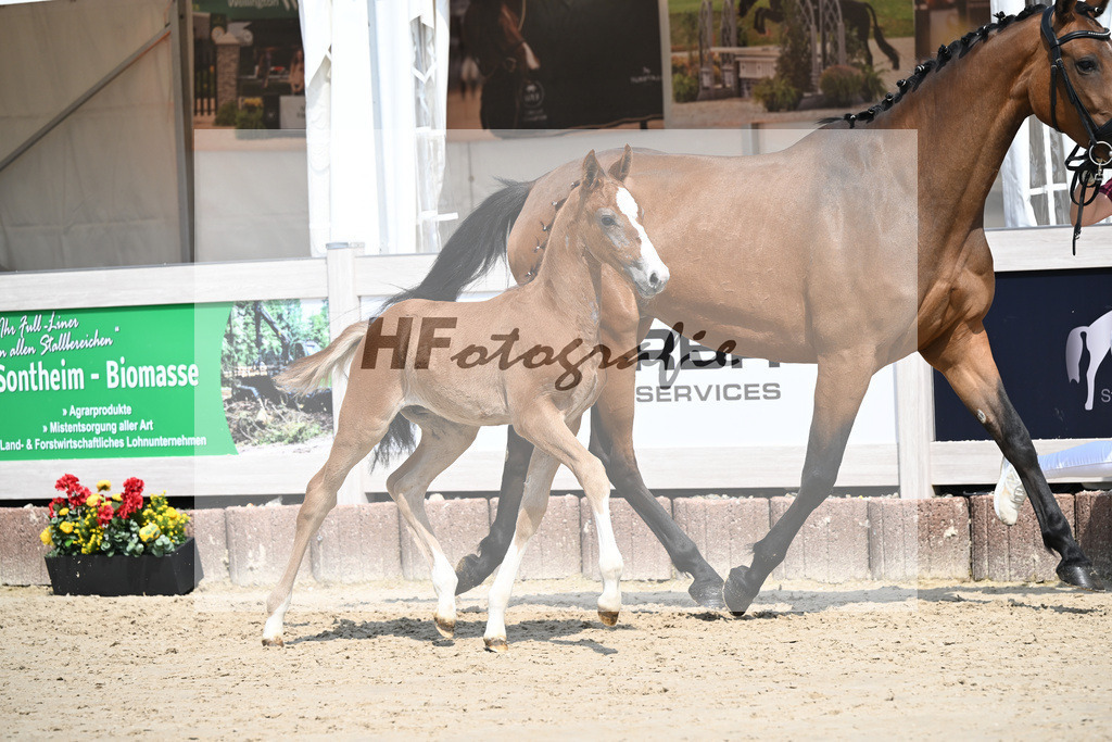 Arezzo Man x Zinedream_HF_Lohmiller_12250396 | hf-fotografie - Realisiert mit Pictrs.com