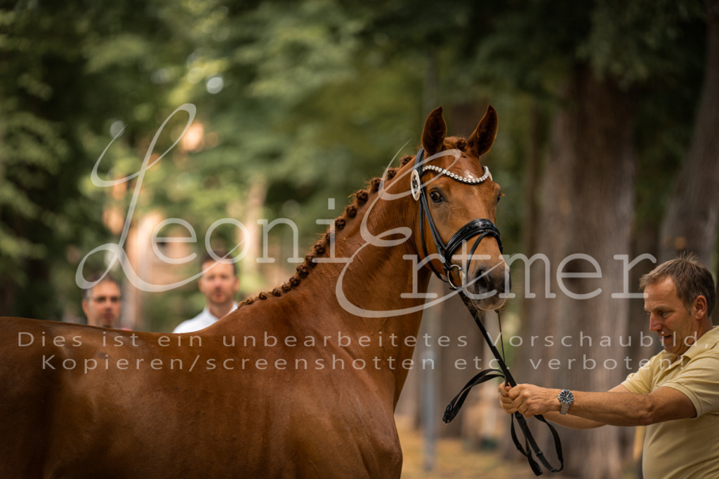 FrPfM00090 | Leoni Ertmer Photography - Realisiert mit Pictrs.com