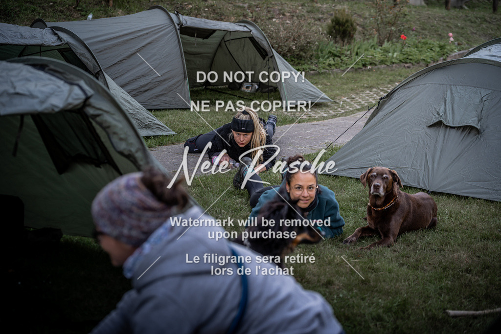6Z1A1828 | nelerasche