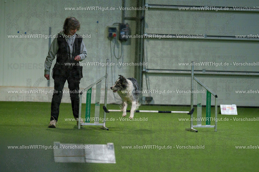 7R504464 | Professionelle Tierfotografie in Mönchengladbach von Daniel Wirth (allesWIRTHgut). Liebevolle & natürliche Bilder von Hunden & Katzen für unvergessliche Erinnerungen.