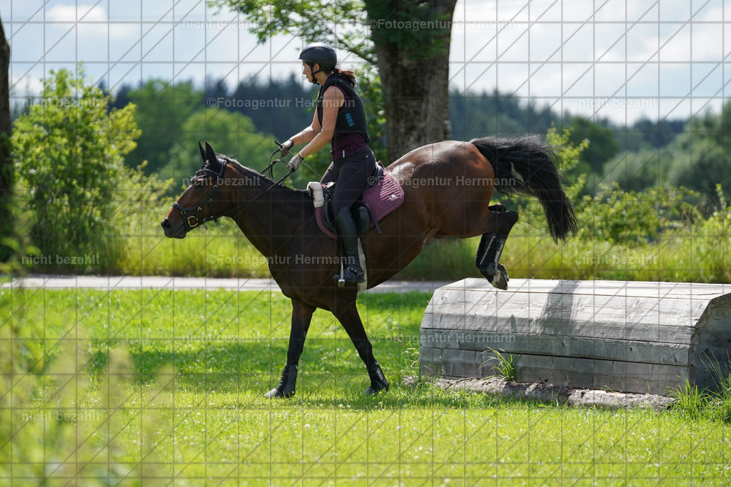 20240622-FAH07762 | Turnierfotografen Bayern, Reitsportbilder aus dem Geländekurs mit Felix Etzel auf dem Gut Waitzacker 2024