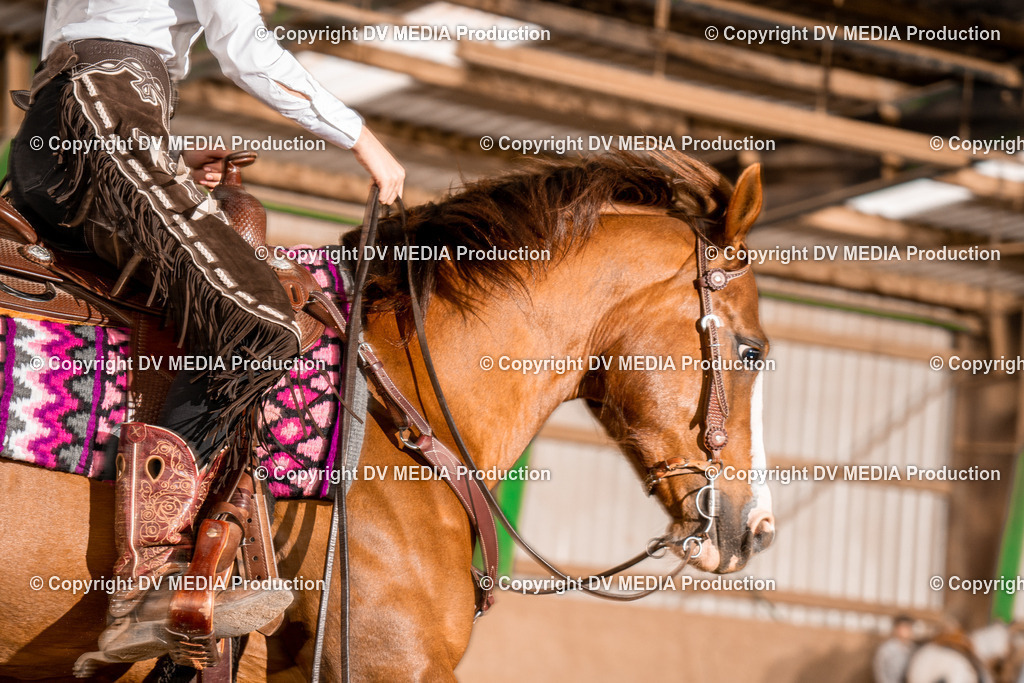 BA400315 | dv-media-shop - Realisiert mit Pictrs.com