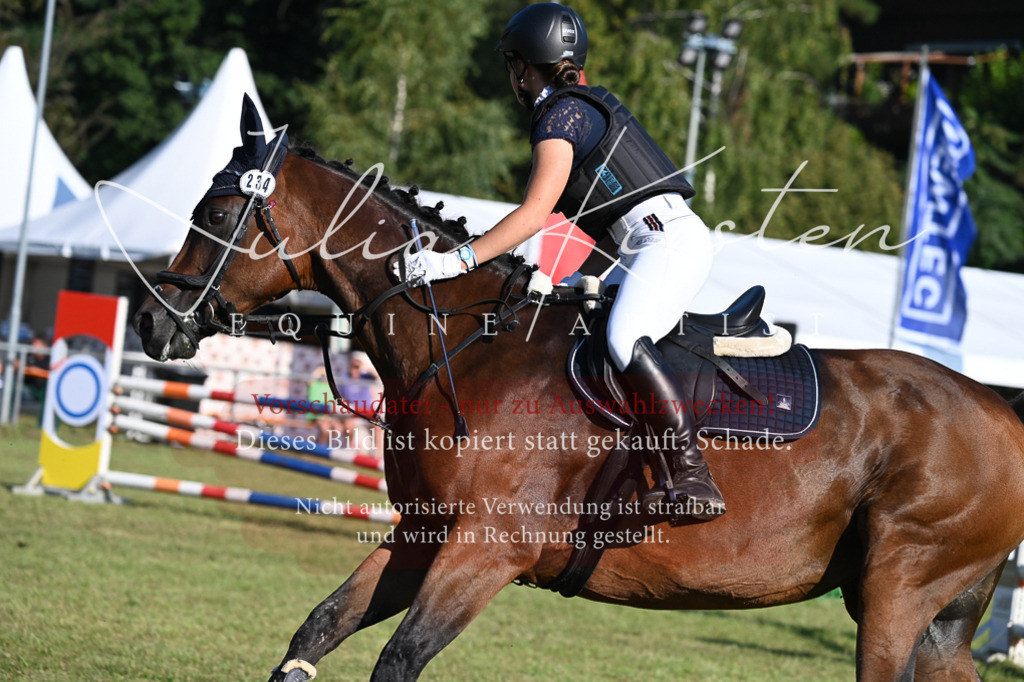 DSC_4854 | Pferde- und Turnierfotografie in Westsachsen. Pferdeportraits, Auftragszeichnungen und intuitive Kunst.