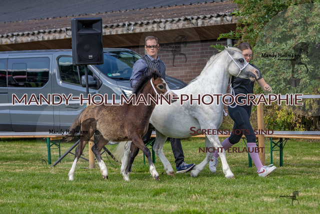 IG WELSH VM 2024-148 | mandyhollmannphotographie