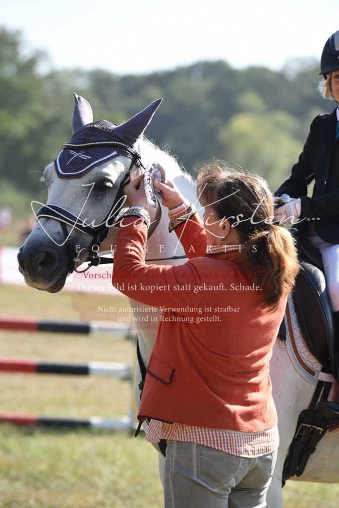 DSC_6148 | Pferde- und Turnierfotografie in Westsachsen. Pferdeportraits, Auftragszeichnungen und intuitive Kunst.