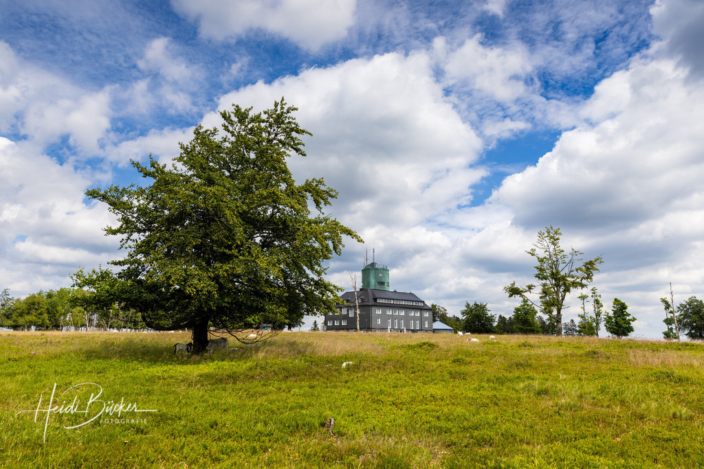 Astenturm mit Restaurant auf dem Kahlen Asten | Astenturm mit Restaurant auf dem Kahlen Asten - Realisiert mit Pictrs.com
