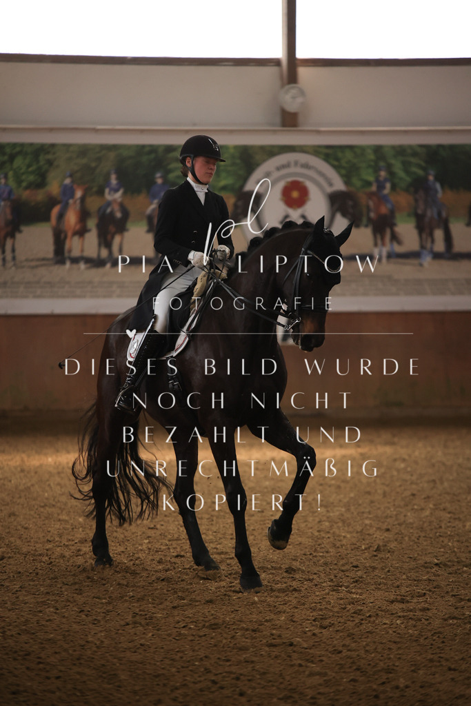 IMGT4505 | pl-fotografie