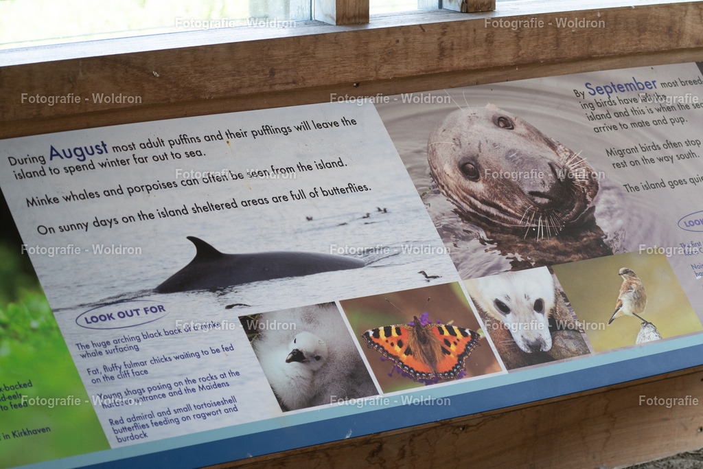 20230815 Isle of Sky - St.Andrews - Dundee-118 | Fotografie Woldron