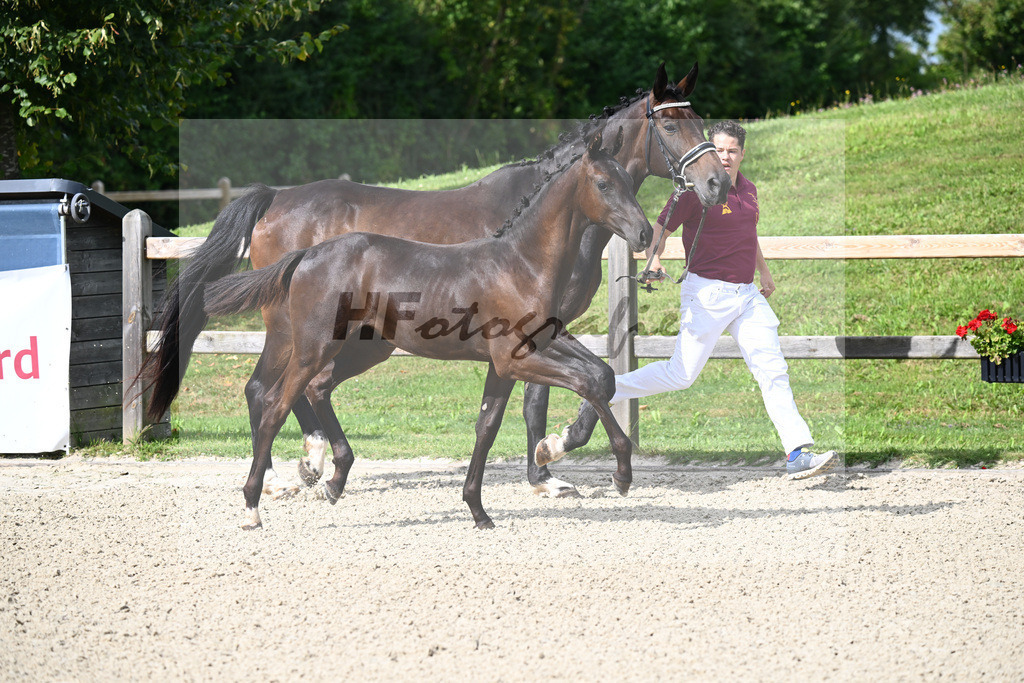 Zauberlehrling x Fidertanz_SF_Kopp_29240025 | hf-fotografie - Realisiert mit Pictrs.com