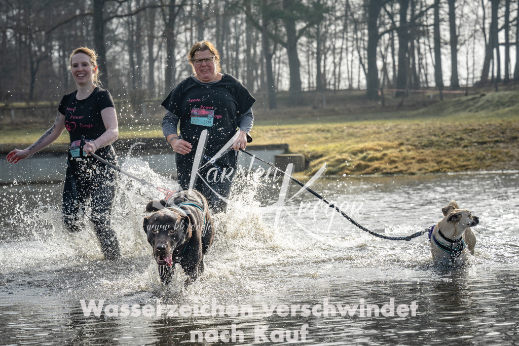 0948_ZZ93933 | kk-dogfotos