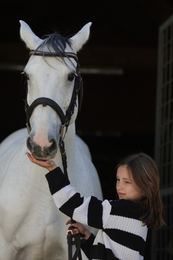 0P6A9014 | Willkommen bei Brunnmayr - Design & Fotografie – Ihrem Spezialisten für Reitturniere und Pferdeveranstaltungen in Oberösterreich, Salzburg und Bayern! Seit über 17 Jahren sind wir leidenschaftlich dabei.