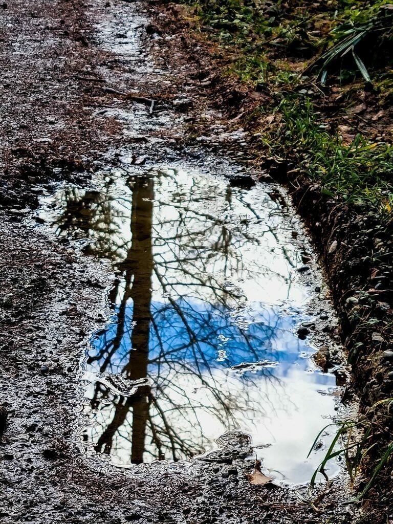 PSX_20220103_160018 | mtkfoto_ - Realisiert mit Pictrs.com