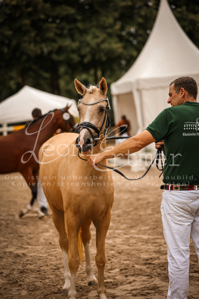 12.So00095 | Leoni Ertmer Photography - Realisiert mit Pictrs.com