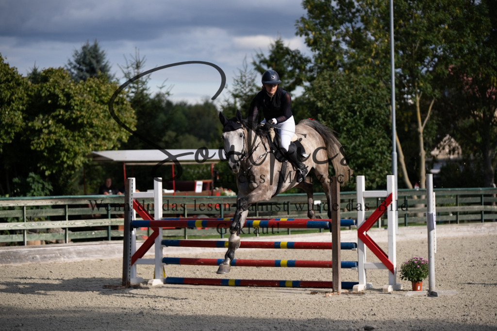 A7V07811 | Turnier/Reitfotograf