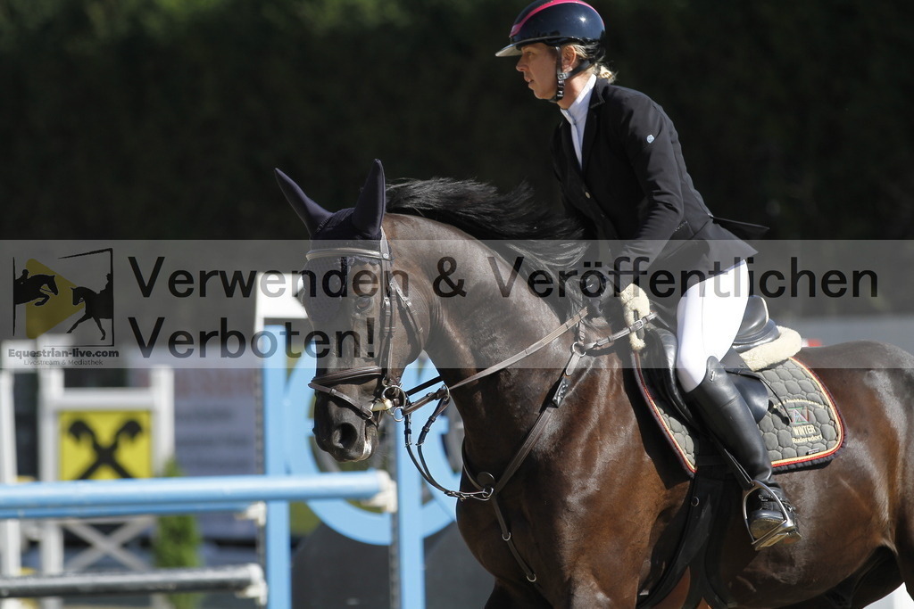 _MG_7977 | equestrian-live-com