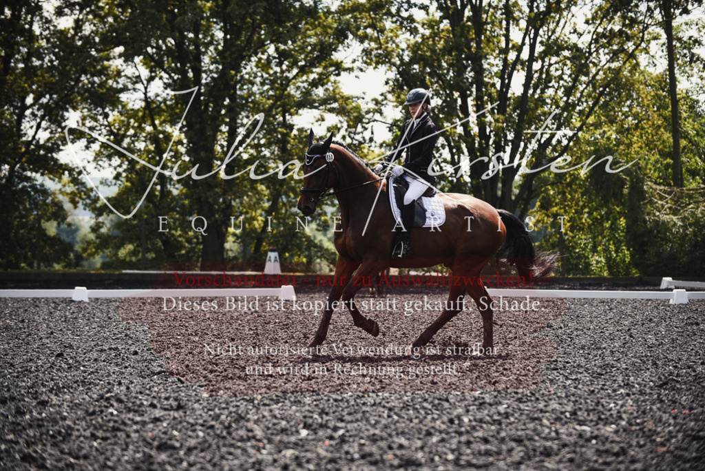 DSC_4146 | Pferde- und Turnierfotografie in Westsachsen. Pferdeportraits, Auftragszeichnungen und intuitive Kunst.