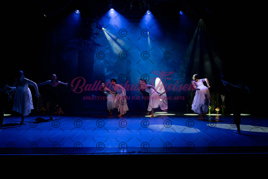 Ballettaufführung-151 | Bildershop Lem'n Entertainment - Realisiert mit Pictrs.com