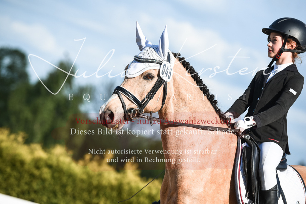 20230518_JK-Röhrsdorf-12-0894 | Pferde- und Turnierfotografie in Westsachsen. Pferdeportraits, Auftragszeichnungen und intuitive Kunst.