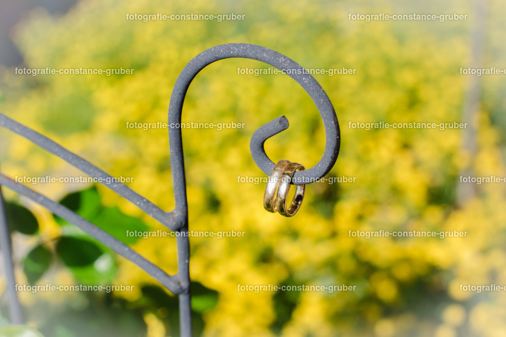 1016 | Fotografie Constance Gruber - Realisiert mit Pictrs.com