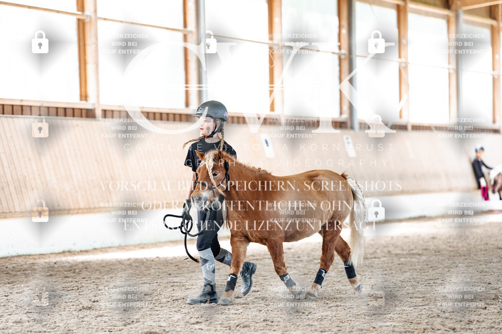 CK906975 | Turnierfotografie Pferdefotografie Trier Rheinland-Pfalz Pferdesport Reitsport Tierfotografie Sportfotografie Pferdevideo Pferdevideografie Equestrianvideography equestrianphotography  - Realisiert mit Pictrs.com