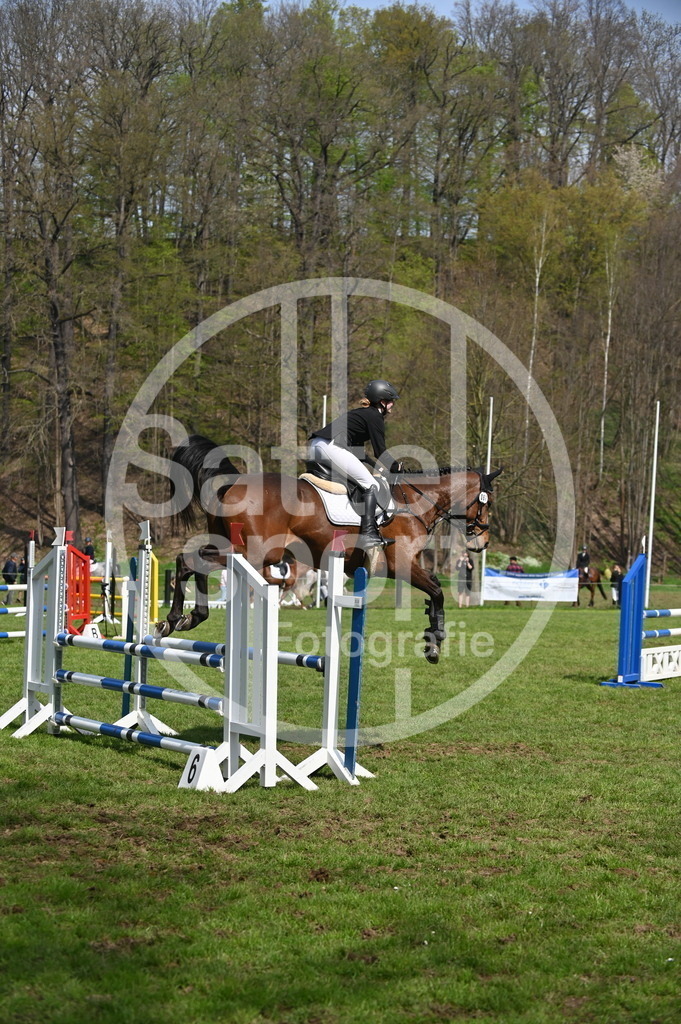 DSC_1228 | sattelsport - Realisiert mit Pictrs.com