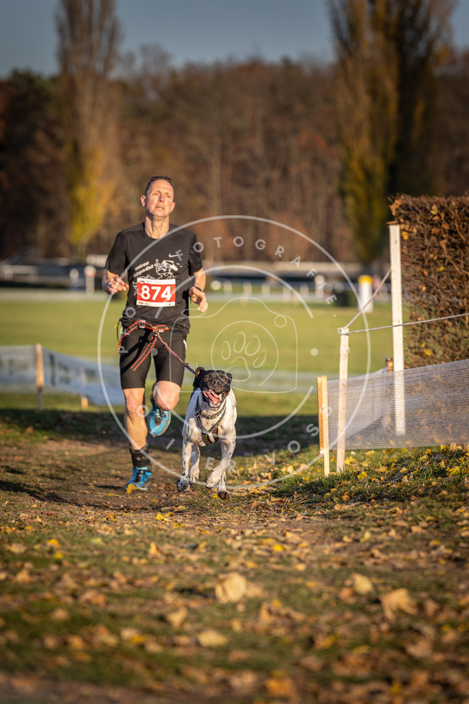 CaniXpix_DV3A4197 | Hundefotografie, Tierfotograf, Pfotenfotografie, Fotoshooting Hund, Hunde Portrait, Hundesport, Hundeportraits, Heideshooting, Hunde, Sportfotograf, Hundefotograf, Turnierhundsport, THS,  - Realisiert mit Pictrs.com