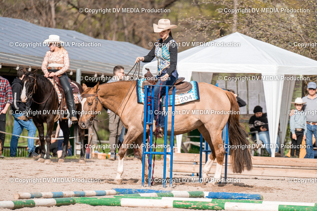 BAL02762 | dv-media-shop - Realisiert mit Pictrs.com