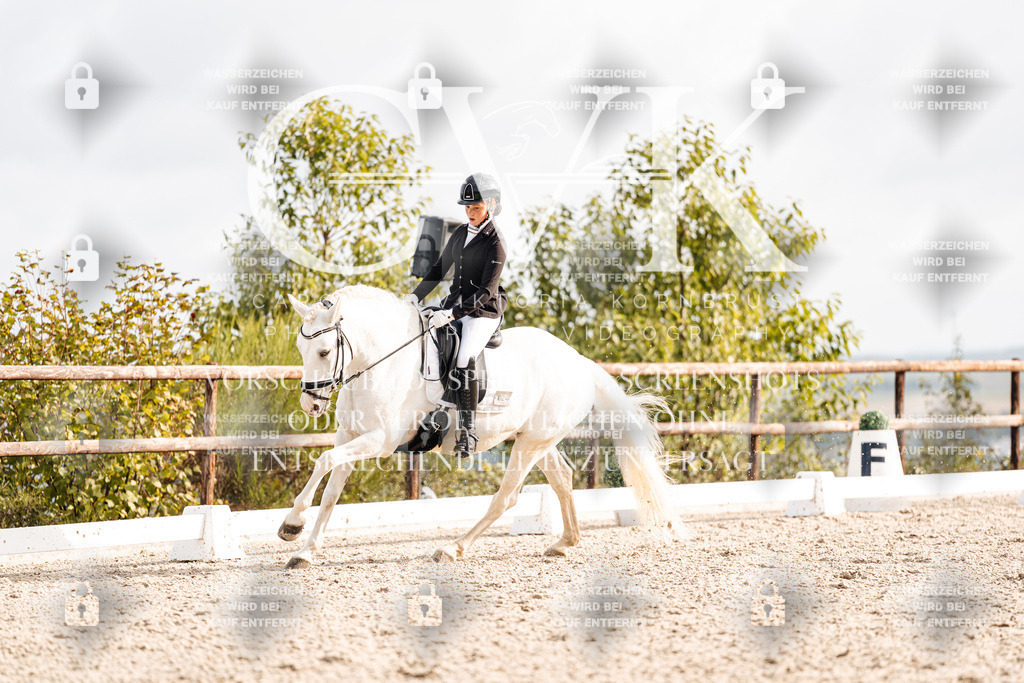 CK901269 | Turnierfotografie Pferdefotografie Trier Rheinland-Pfalz Pferdesport Reitsport Tierfotografie Sportfotografie Pferdevideo Pferdevideografie Equestrianvideography equestrianphotography  - Realisiert mit Pictrs.com